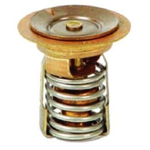850055 Termostati Mercury-Mariner