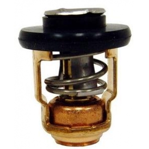 855676A1 Thermostat Mercury-Mariner