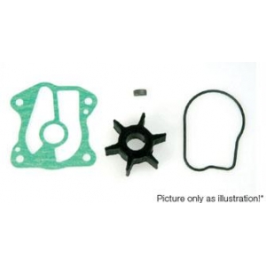 06192-ZV1-C00 Honda 5 Hp Impeller kit