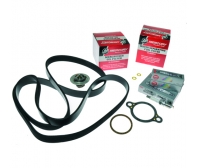 Mercruiser Kit Mantenimiento 300Hrs 4.3L MPI Alpha – 8M0147064
