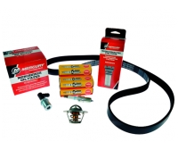 Mercruiser Kit Mantenimiento 300Hrs 4.5L – 8M0147066